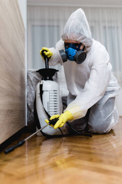 Best Termite Inspection and Treatment  in Villa Park, CA